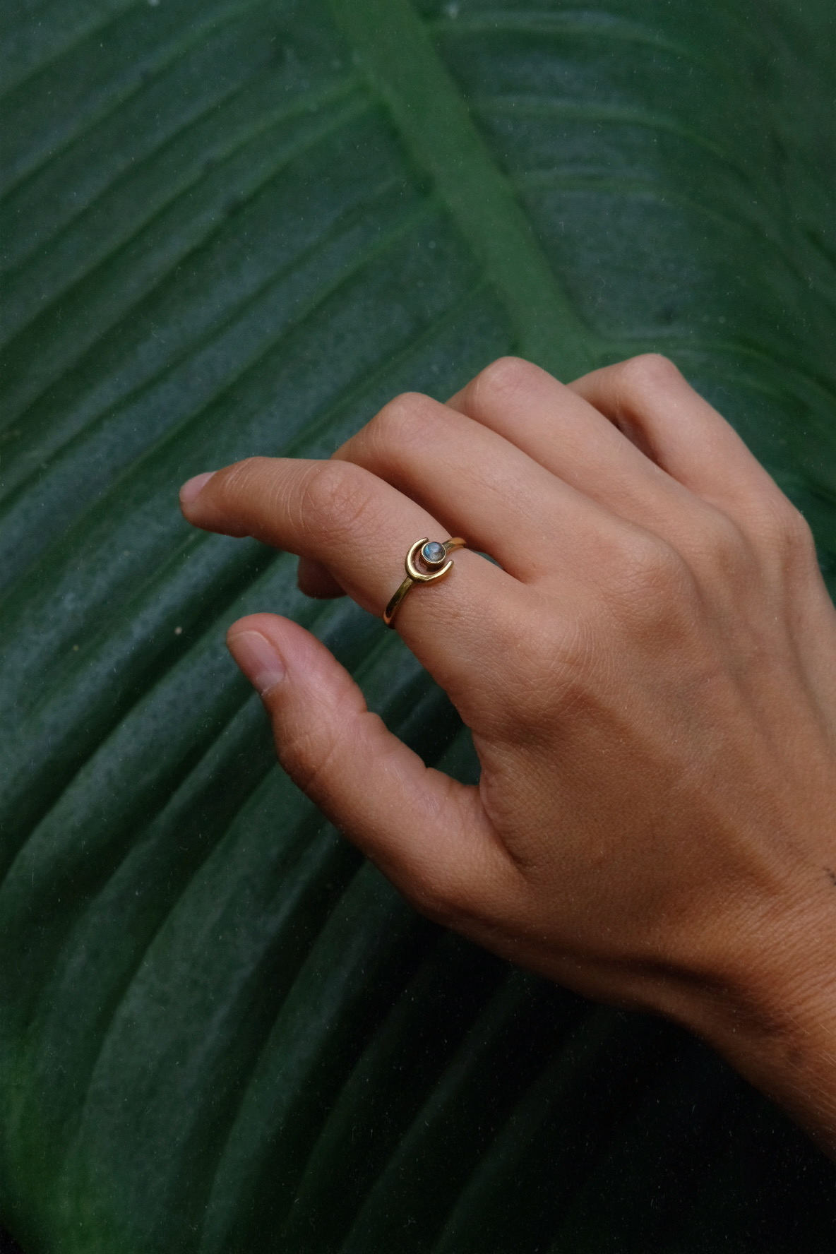 Ring Luna