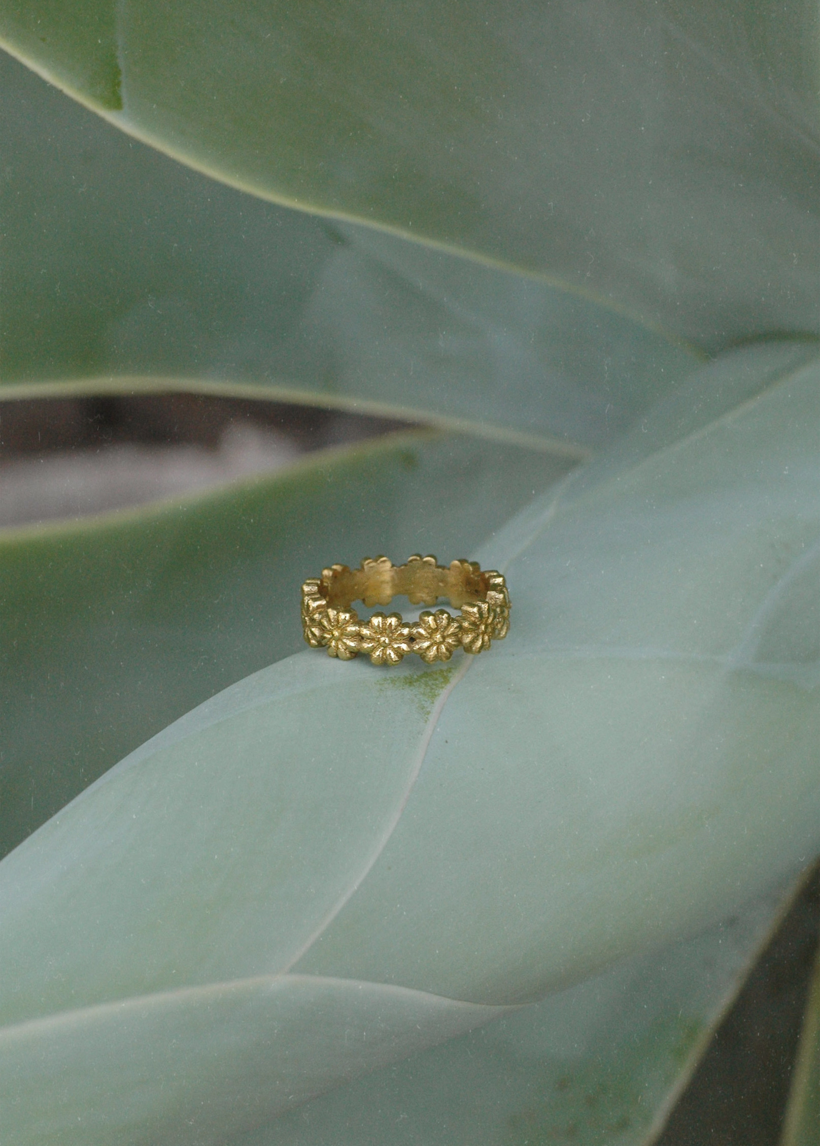 Ring Florina