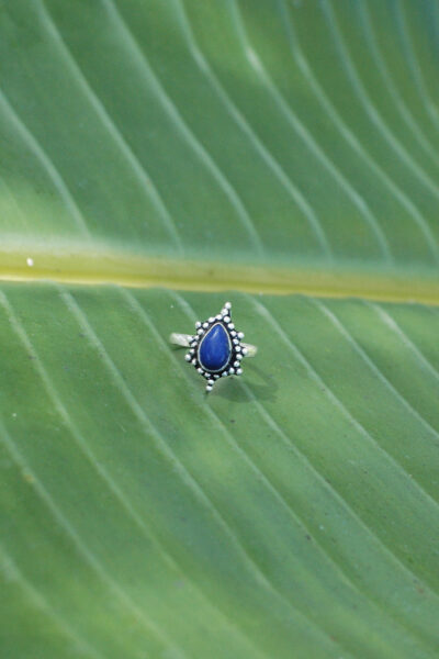 Ring Miyari
