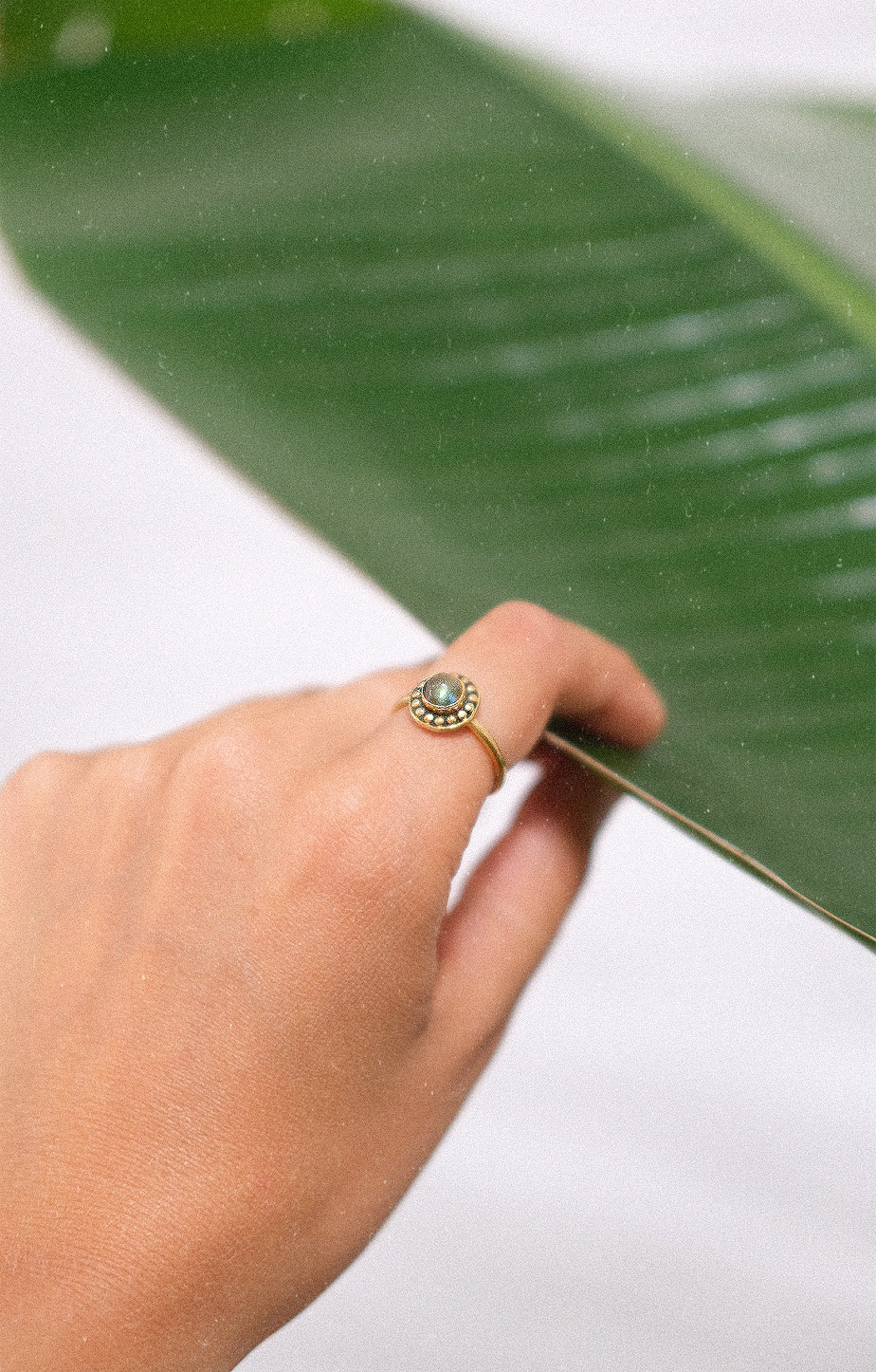 Ring Aria